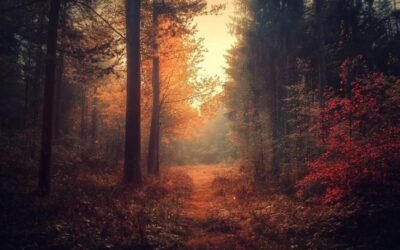 Particulier et économies d’énergie : 10 astuces pour réduire votre facture efficacement